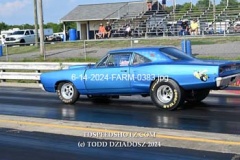 6-14-2024-FARM-0383