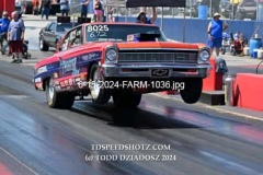 6-15-2024-FARM-1036