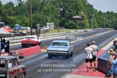 6-15-2024-FARM-1465