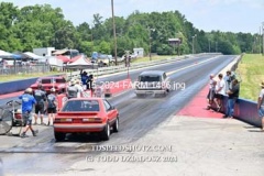 6-15-2024-FARM-1486