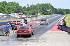 6-15-2024-FARM-1489