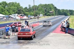 6-15-2024-FARM-1490