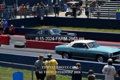 6-15-2024-FARM-2563