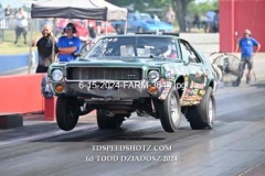 6-15-2024-FARM-3648