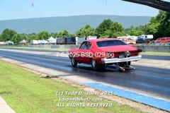 7-6-2025-BSD-029