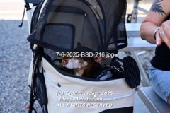 7-6-2025-BSD-216