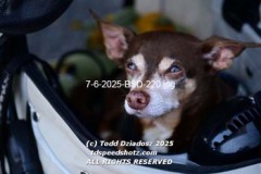 7-6-2025-BSD-220