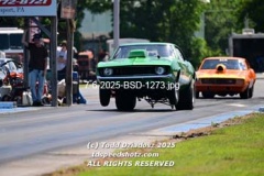 7-6-2025-BSD-1273
