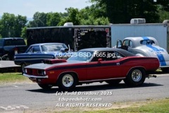 7-6-2025-BSD-1665